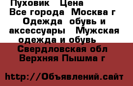 Пуховик › Цена ­ 2 000 - Все города, Москва г. Одежда, обувь и аксессуары » Мужская одежда и обувь   . Свердловская обл.,Верхняя Пышма г.